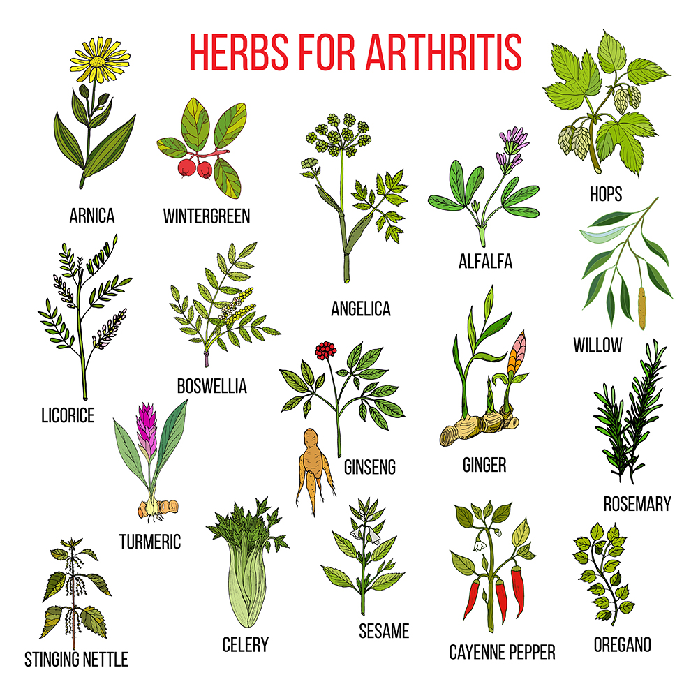 Herbs that Fight Arthritis Pain