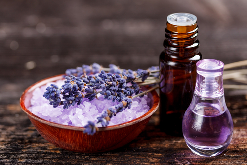 Scientific and Medicinal Benefits of Lavender Essential Oil