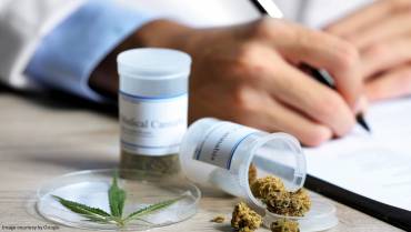Medical Marijuana – The risks and benefits involved
