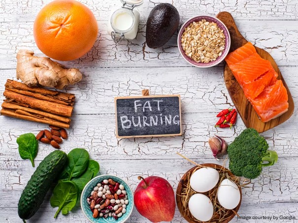 Fat Burning written in a circle of food