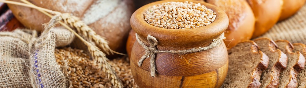 best fat burning foods