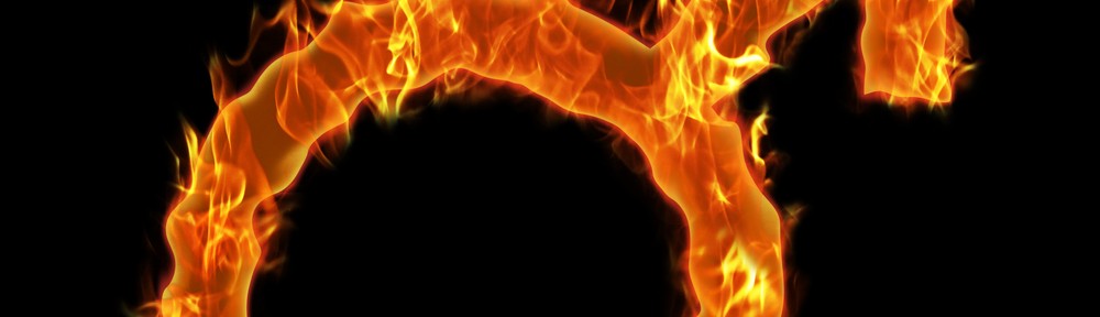 best Testosterone boosting foods