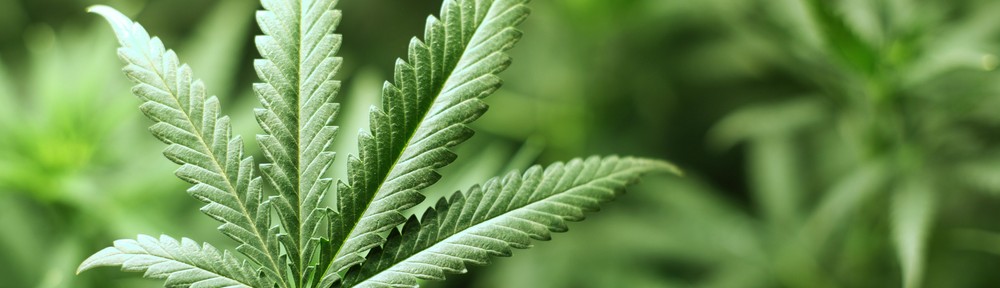 health benefits of Marijuana