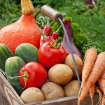 10 Foods That Will Boost Your Immune System
