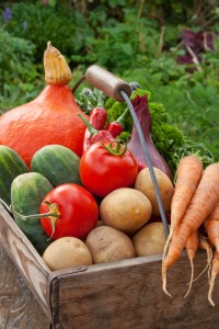 immunity booster foods