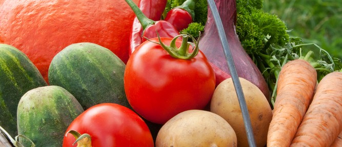 immunity booster foods