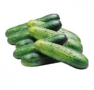 How to treat oily skin