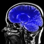 Rejuvenate your Brain, Give it a Break