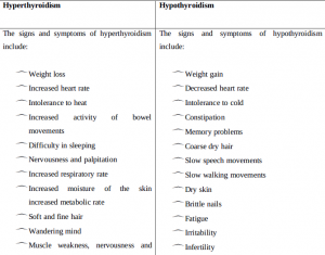 Thyroid Gland