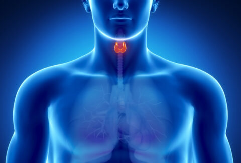 Home remedies for Thyroid