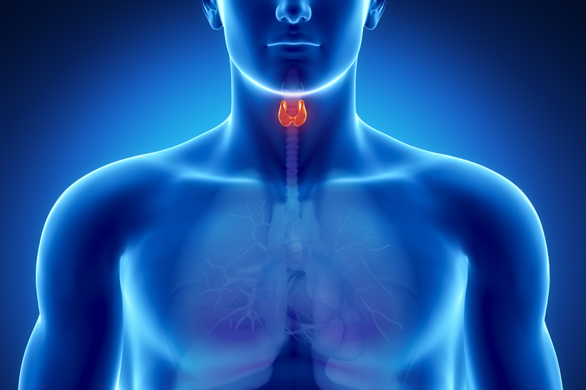 Home remedies for Thyroid