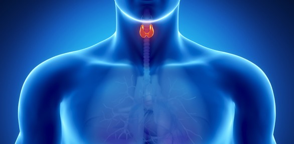 Home remedies for Thyroidwhat is my ip