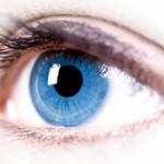 The Best Nutrition for the Perfect Vision