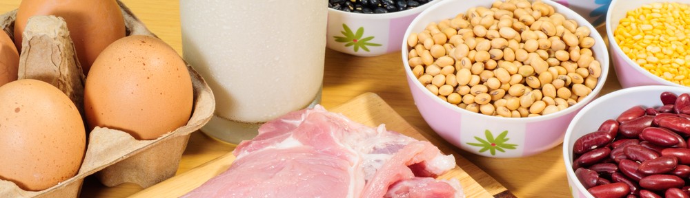 Maximize your Intake of Protein