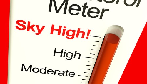Understanding Cholesterol