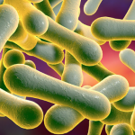 Diphtheria is Deadly; Immunization is the First Step Towards Prevention