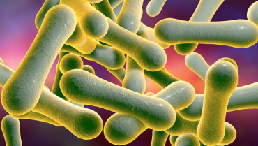 Diphtheria is Deadly; Immunization is the First Step Towards Prevention