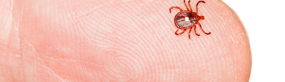 Lyme disease - AllDayChemist Blog