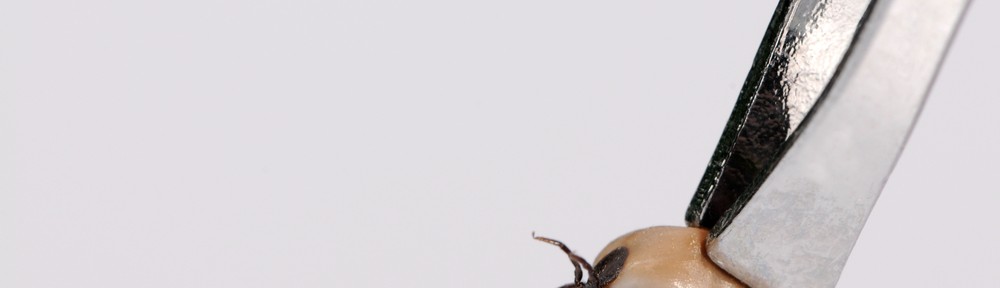 Lyme disease - AllDayChemist Health Blog