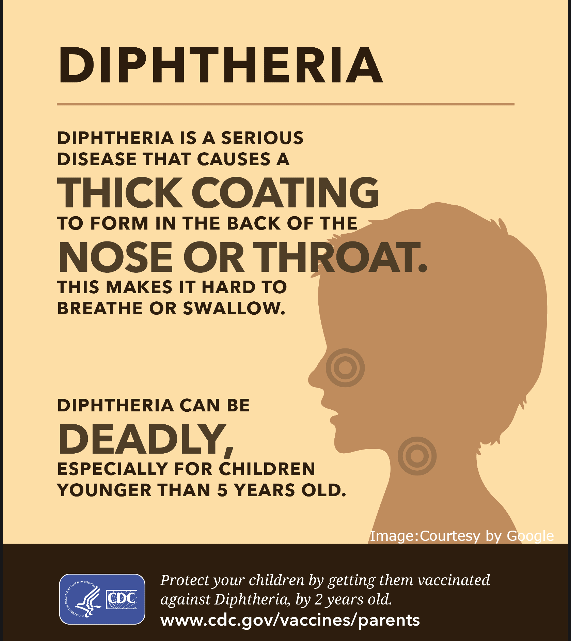 typhoid symptoms