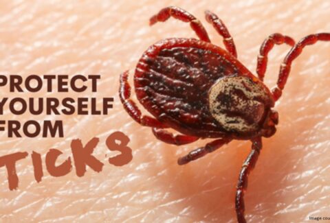 tick bite rash