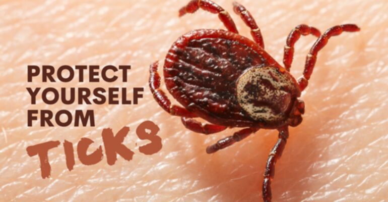 tick bite rash