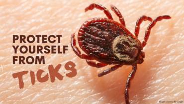 Don’t Let Ticks come Close to you, Prevent Lyme Disease