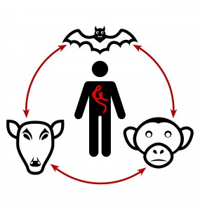 Ebola-Disease