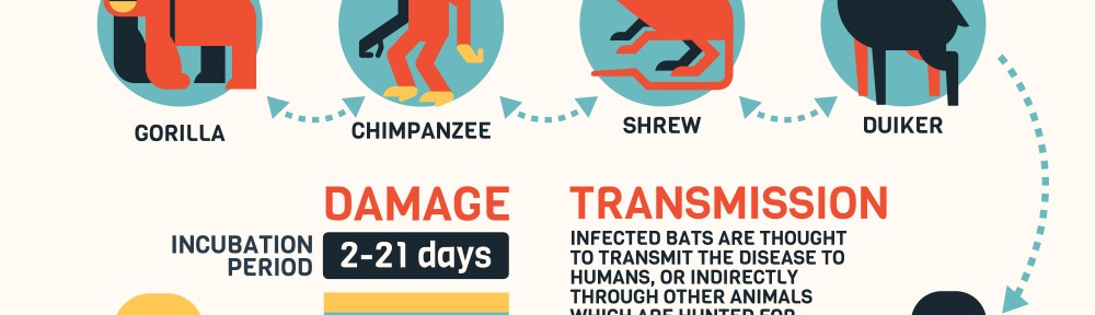 Ebola-Disease-AllDayChemist-Health-Blog