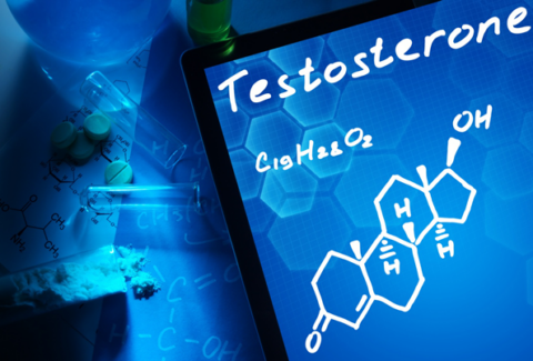testosterone