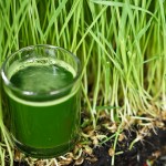 Health benefits of wheat grass juice