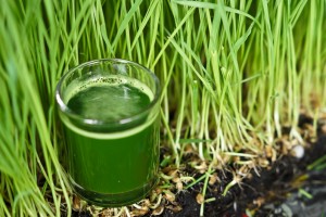 Health benefits of wheat grass