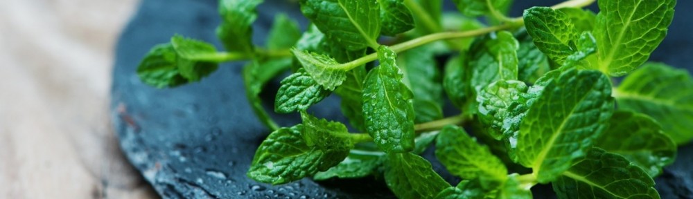 Benefits of Mint leaves
