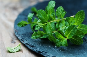 Benefits of Mint leaves