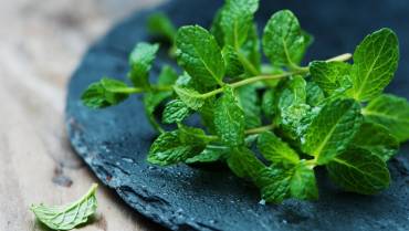 Benefits of Mint leaves