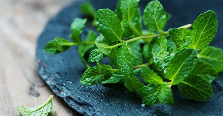Benefits of Mint leaves