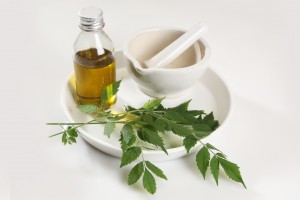 Benefits of Neem for quality skin care