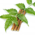 Benefits of Neem for quality skin care