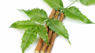 Benefits of Neem for quality skin care