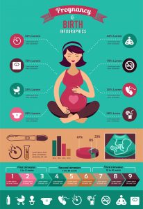 Important Protein for Pregnancy