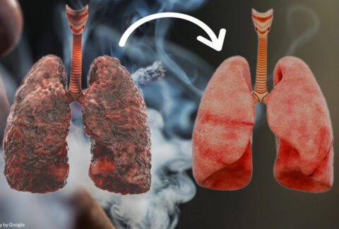 lung detox for smokers​ - All Day Chemist