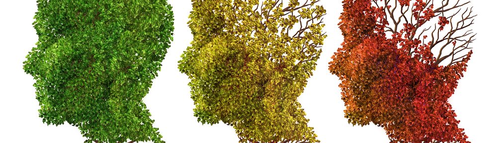 Causes and signs of Alzheimer's disease