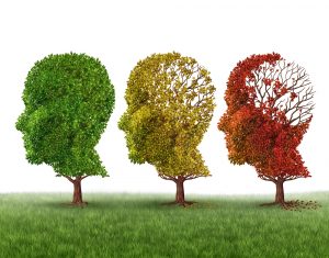 Causes and signs of Alzheimer's disease