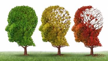 Causes and signs of Alzheimer’s disease