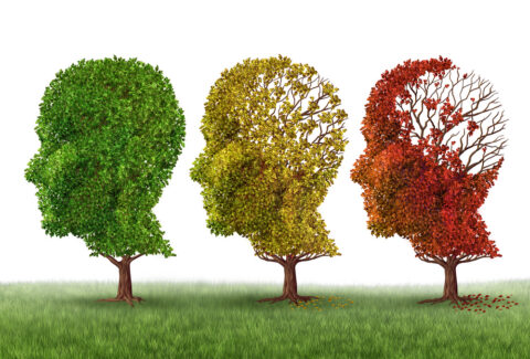 Causes and signs of Alzheimer's disease