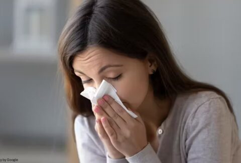 seasonal allergies - All Day Chemist