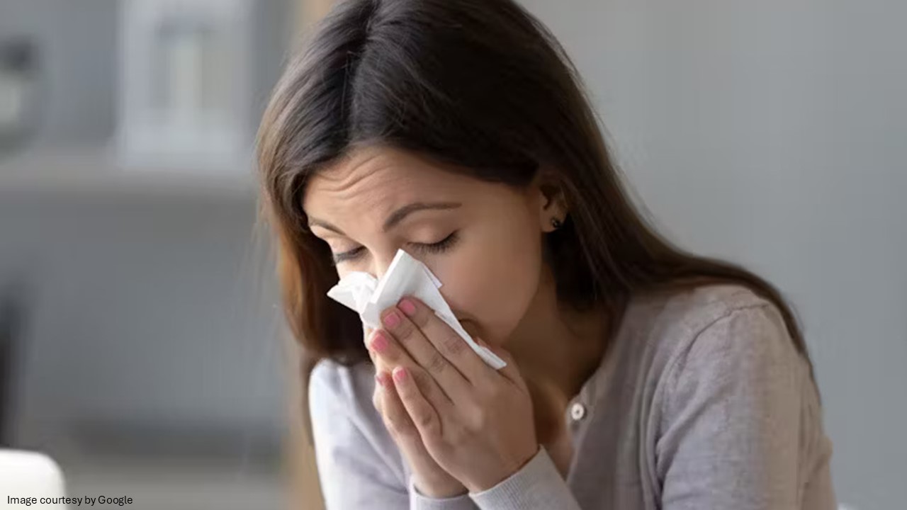 seasonal allergies - All Day Chemist