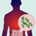 Foods that can increase your gut bacteria