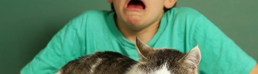 Asthma and Allergies: What’s the Connection?