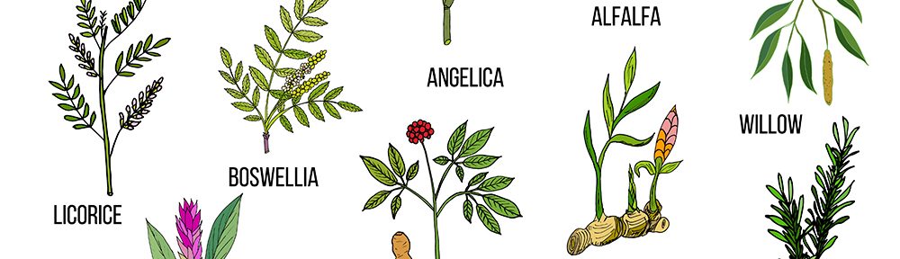 Herbs that Fight Arthritis Pain